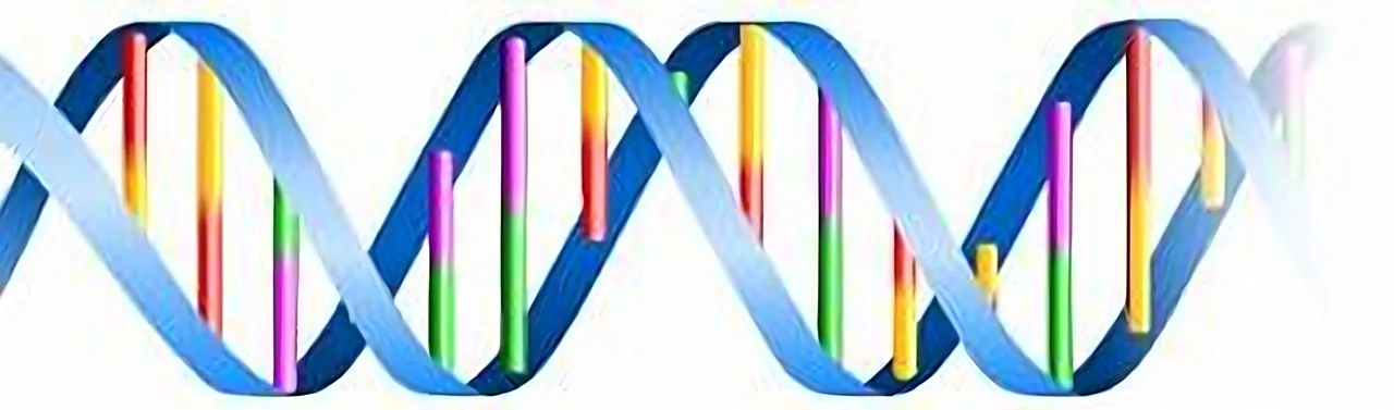 dna